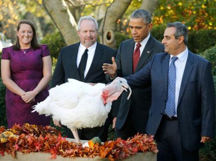 感恩节：奥巴马又把他的“乌鸦手”伸向了火鸡