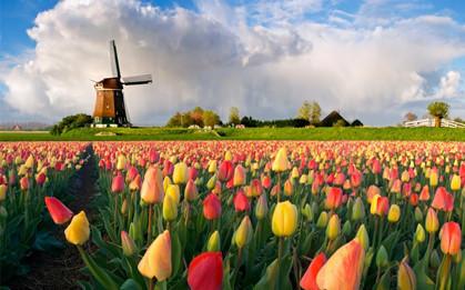 荷兰留学优势分析及误区指南