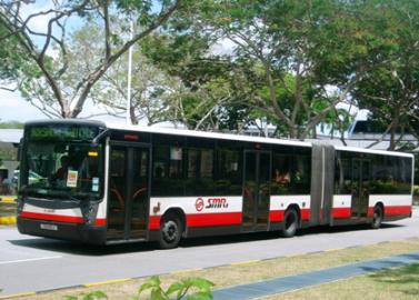 全民关注：新成立的新加坡巴士学院，未来交通安全更具保障？